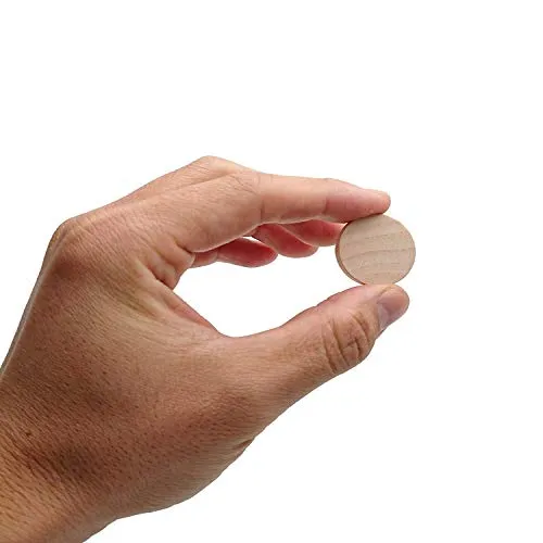 1 Inch Natural Wood Slices Unfinished Round Wood Coins for DIY Arts & Crafts Projects, 120 per Pack.