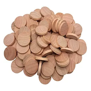 1 Inch Natural Wood Slices Unfinished Round Wood Coins for DIY Arts & Crafts Projects, 120 per Pack.