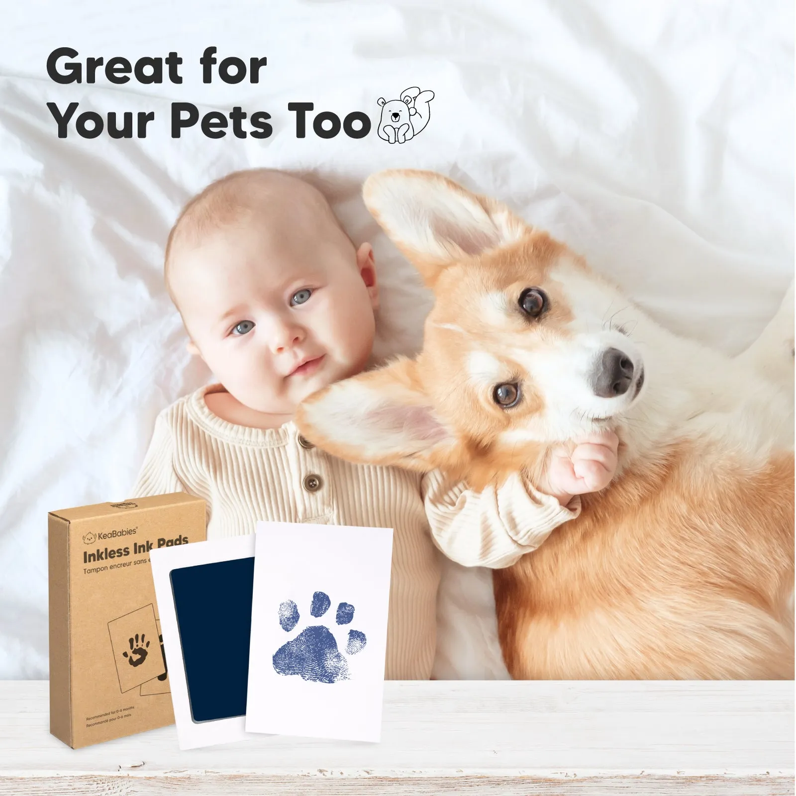2-Pack Inkless Ink Pads (Navy)