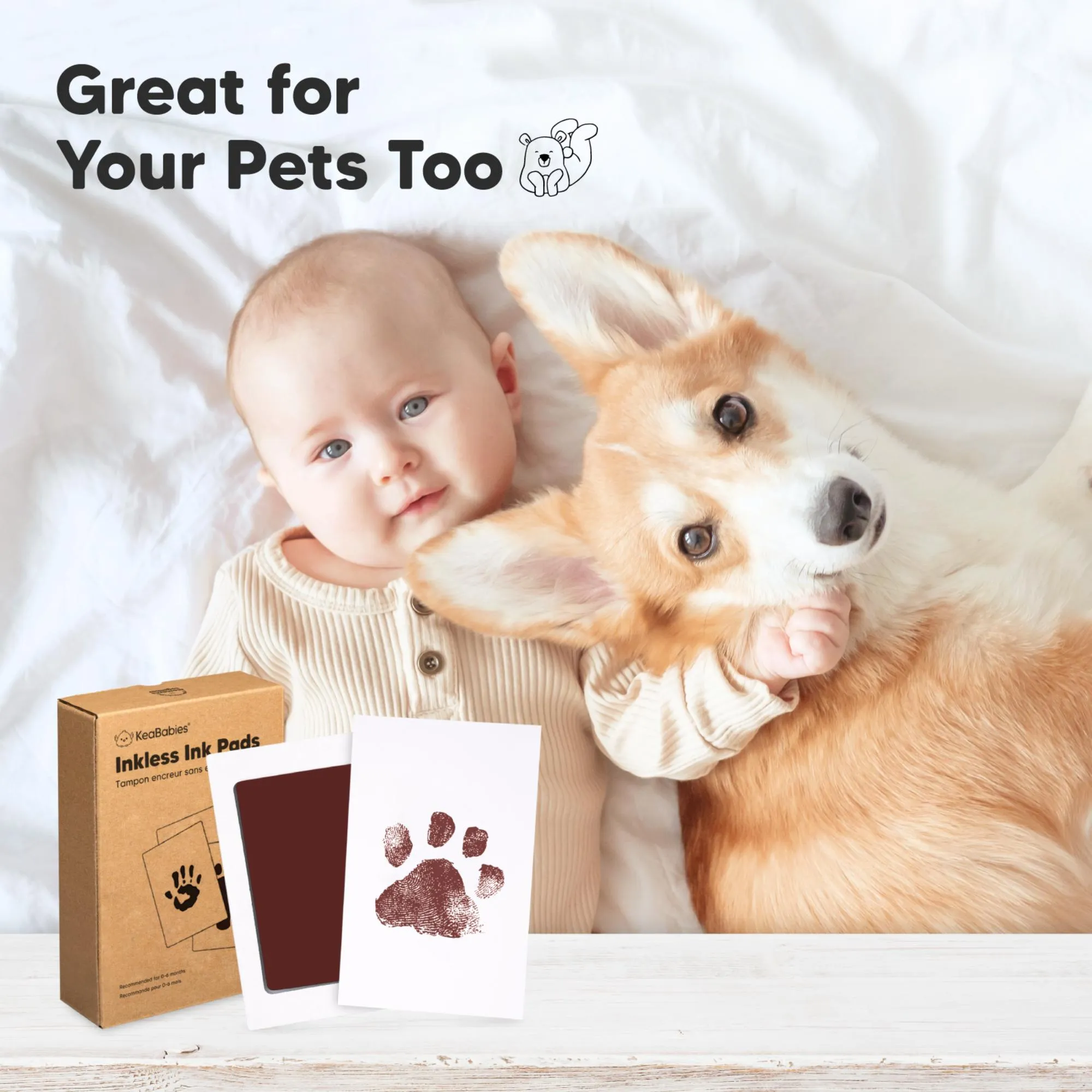 4-Pack Inkless Ink Pads (Auburn)