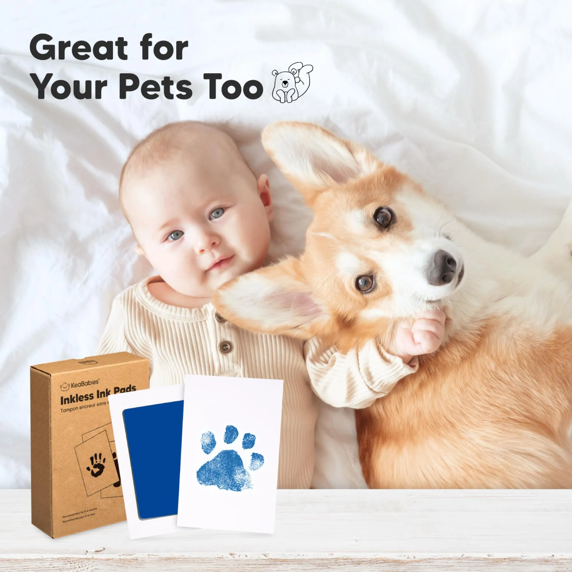 4-Pack Inkless Ink Pads (Holidays)