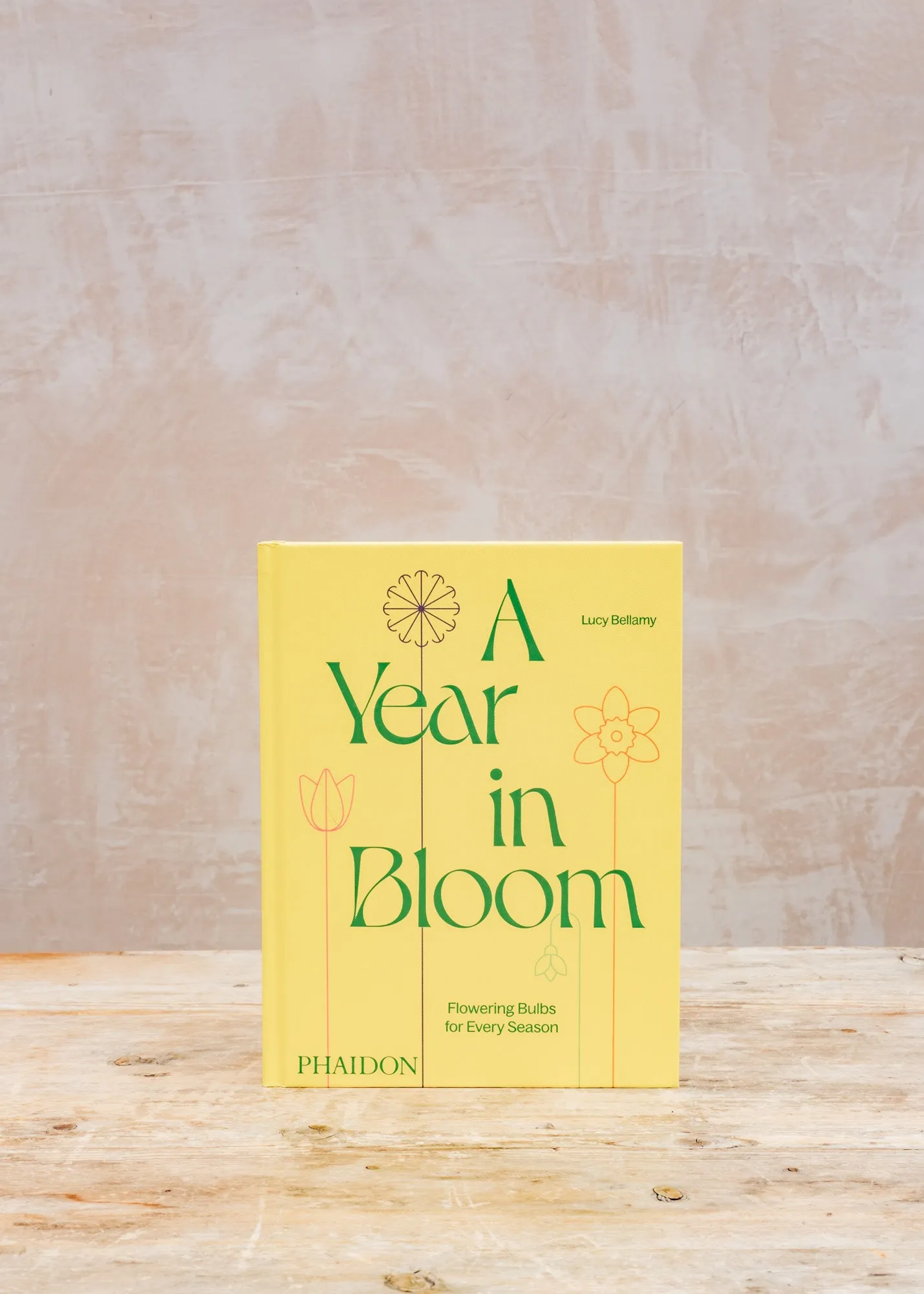 A Year in Bloom: Flowering Bulbs for Every Season