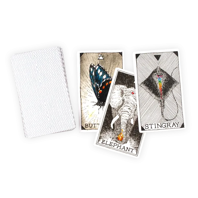 Animal Spirit Deck and Guidebook Boxed Set by The Wild Unknown