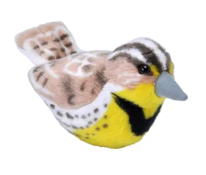 Audubon II Western Meadowlark