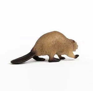 Beaver