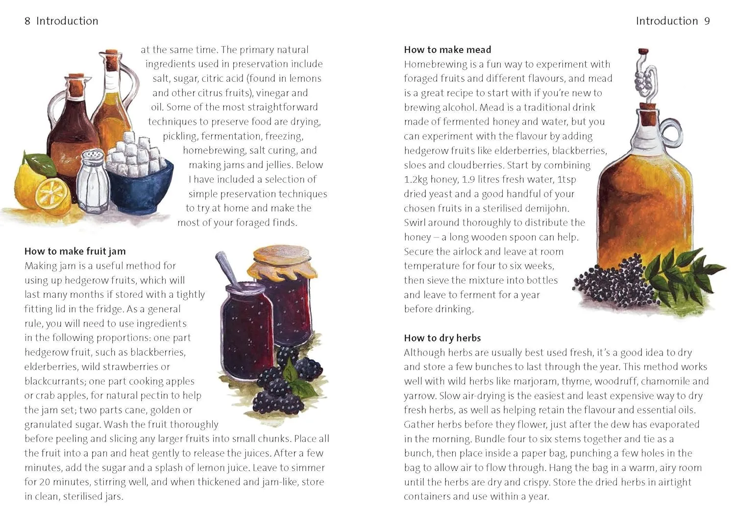 Bloomsbury Concise Foraging Guide by Tiffany Francis-Baker