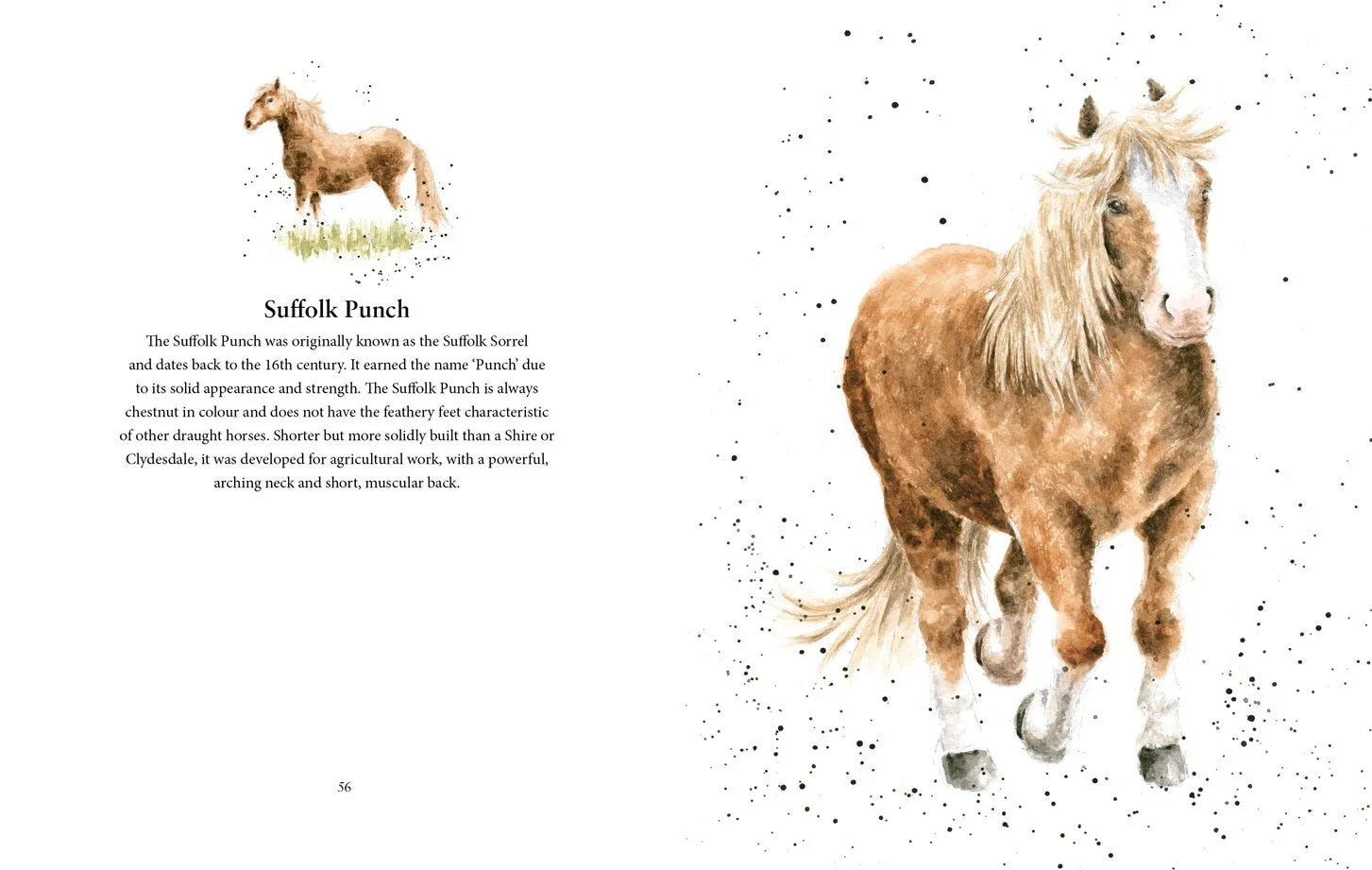 Farmyard Set A Celebration of Friends on the Farm Book by Hannah Dale