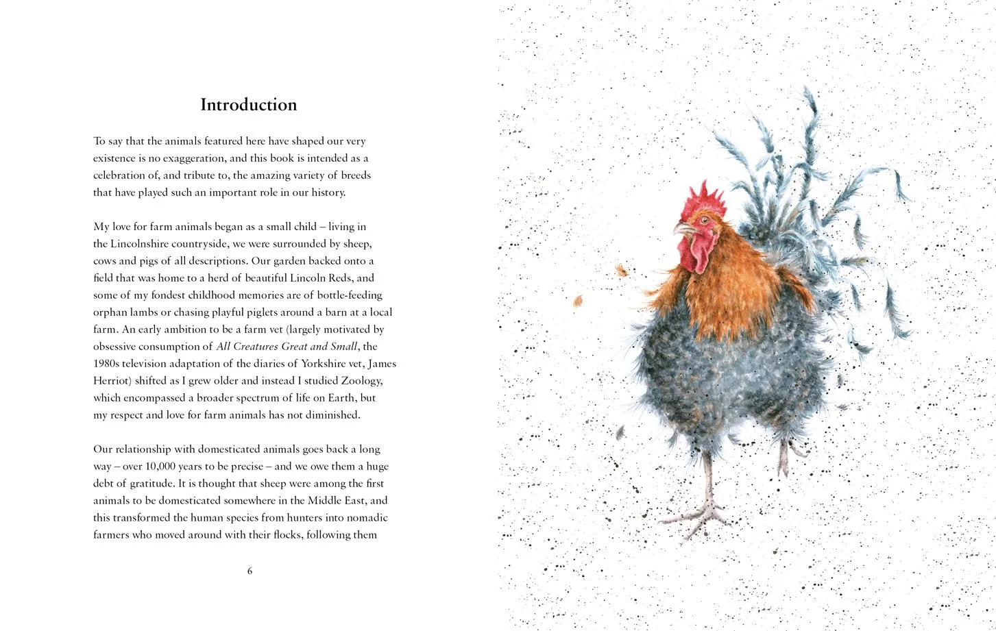 Farmyard Set A Celebration of Friends on the Farm Book by Hannah Dale