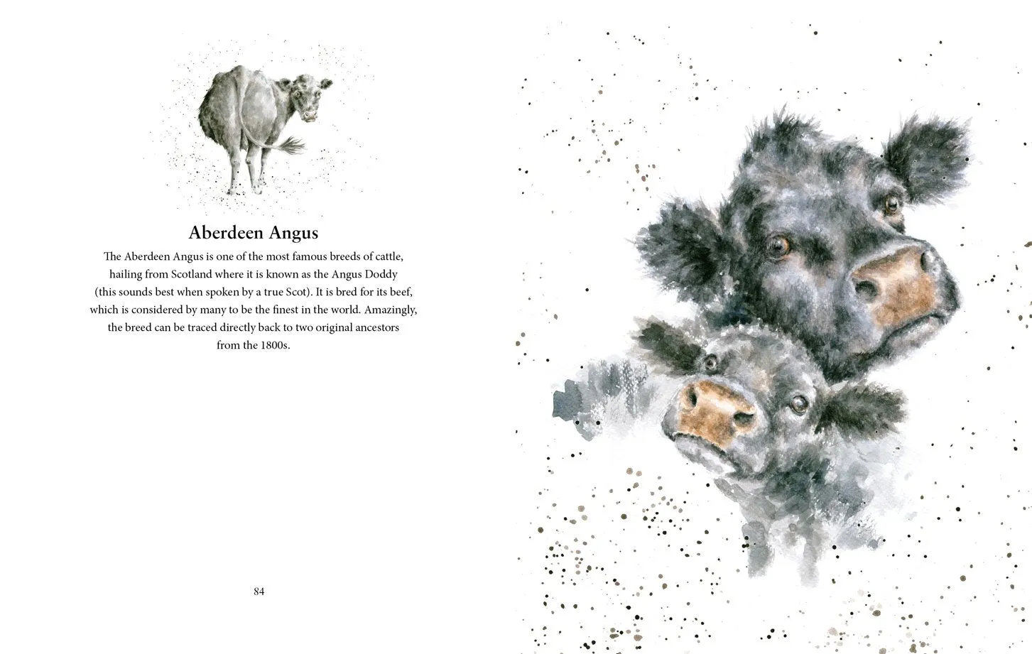 Farmyard Set A Celebration of Friends on the Farm Book by Hannah Dale