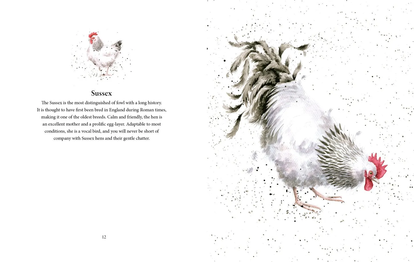 Farmyard Set A Celebration of Friends on the Farm Book by Hannah Dale