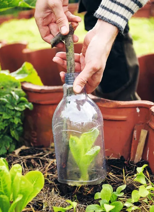 Garden Hacks (HB)