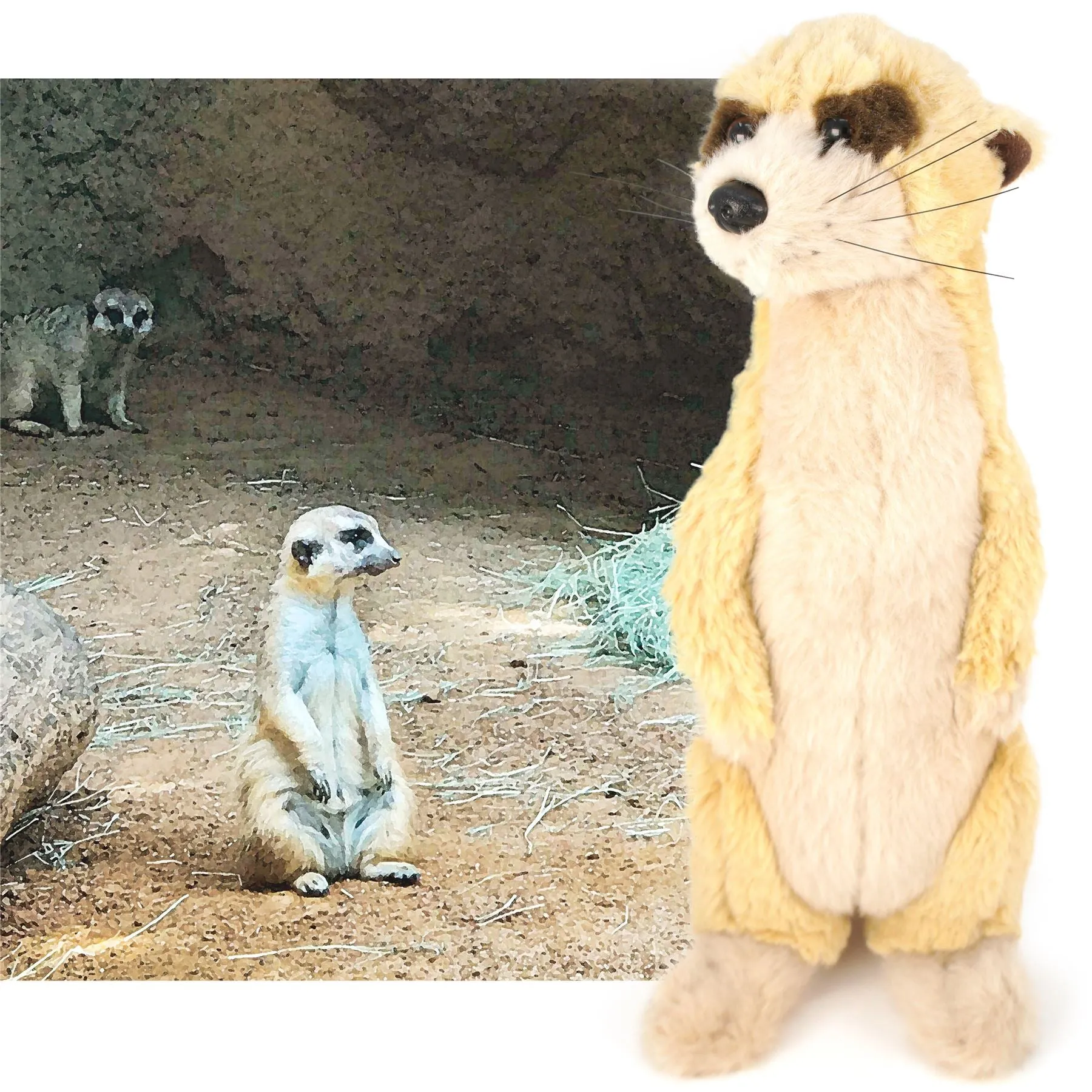 Mimi The Meerkat | 11 Inch Stuffed Animal Plush | By TigerHart Toys