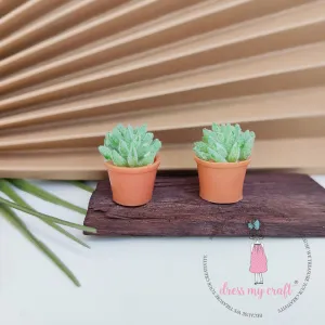 Miniature Succulent Flower Pot