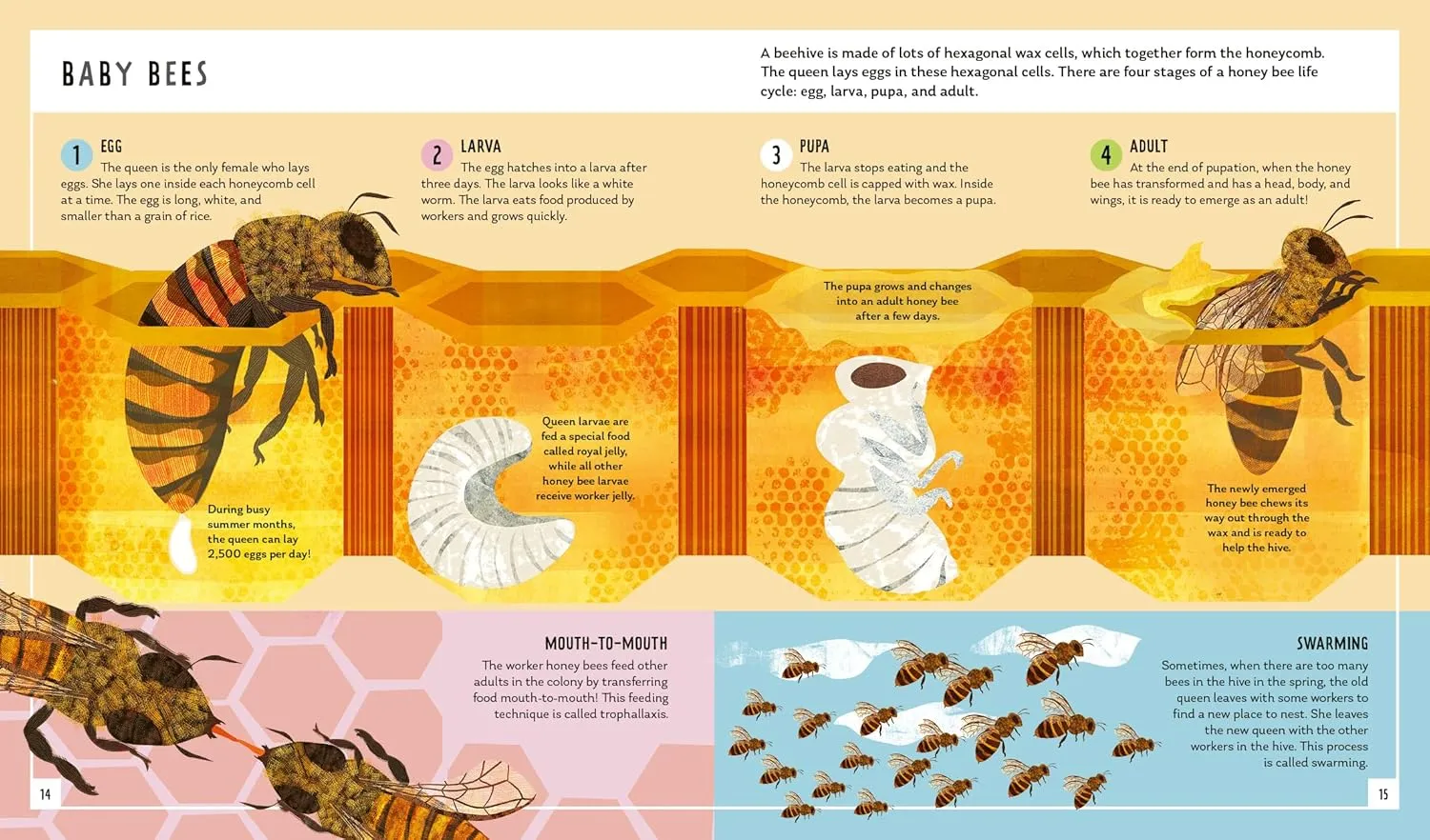 Neon Squid Young Zoologist Honey Bee by Dr Priyadarshini Chakrabarti Basu