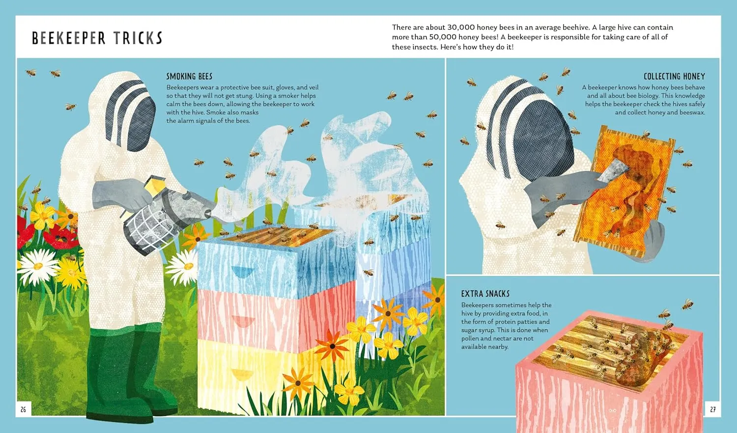 Neon Squid Young Zoologist Honey Bee by Dr Priyadarshini Chakrabarti Basu