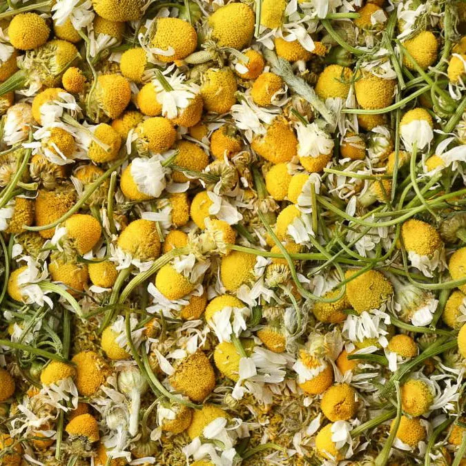 Organic Chamomile