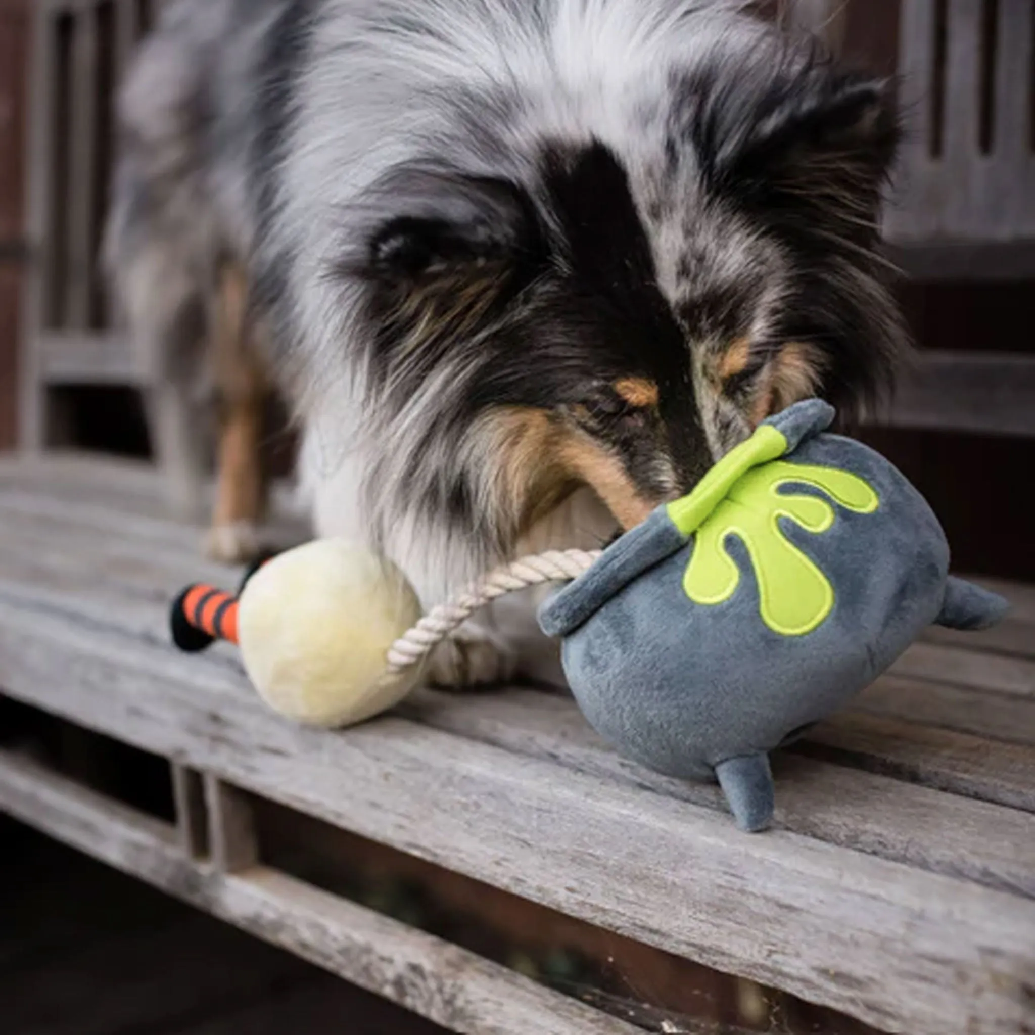 P.L.A.Y. Howling Haunts Pup's Potion Plush Dog Toy