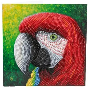 "Pretty Parrot" Crystal Art Card by Rachel Froud 18x18cm