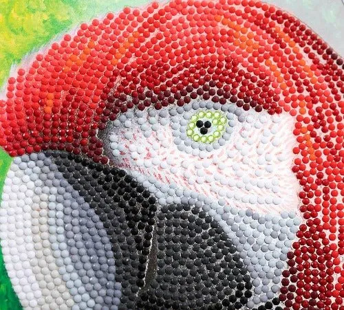 "Pretty Parrot" Crystal Art Card by Rachel Froud 18x18cm