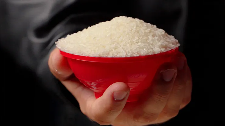 Rice Bowls - Apprentice Magic Series
