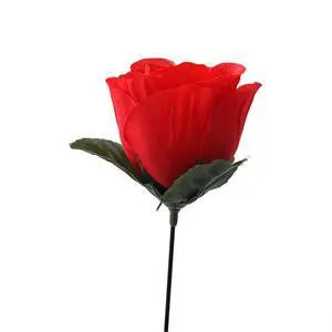 Romantic Stage Close Up Magic Trick Torch To Rose Tricks Popular Fire Flame Appearing Flower
