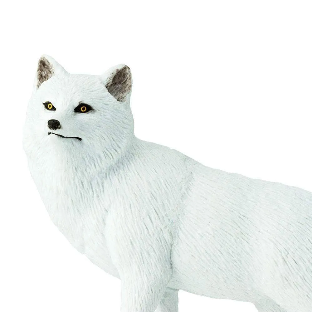 Safari Ltd. Arctic Fox