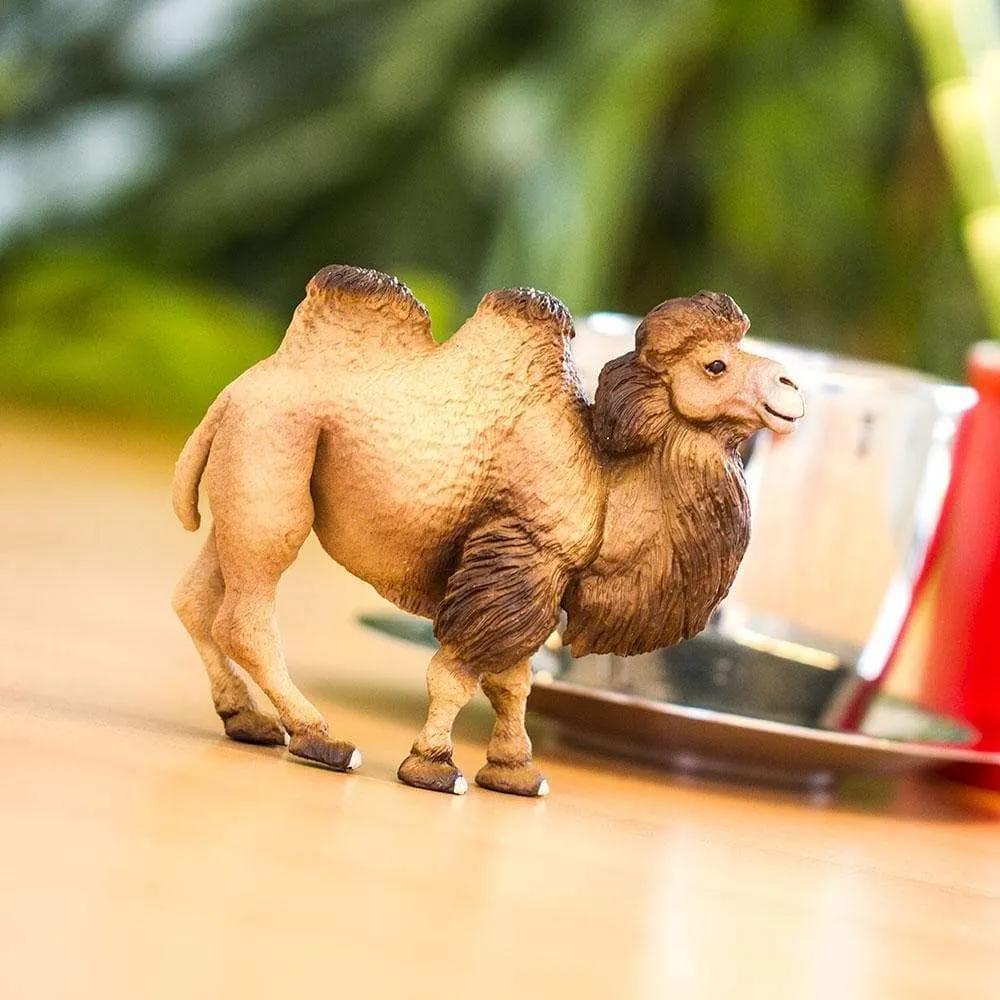 Safari Ltd. Bactrian Camel