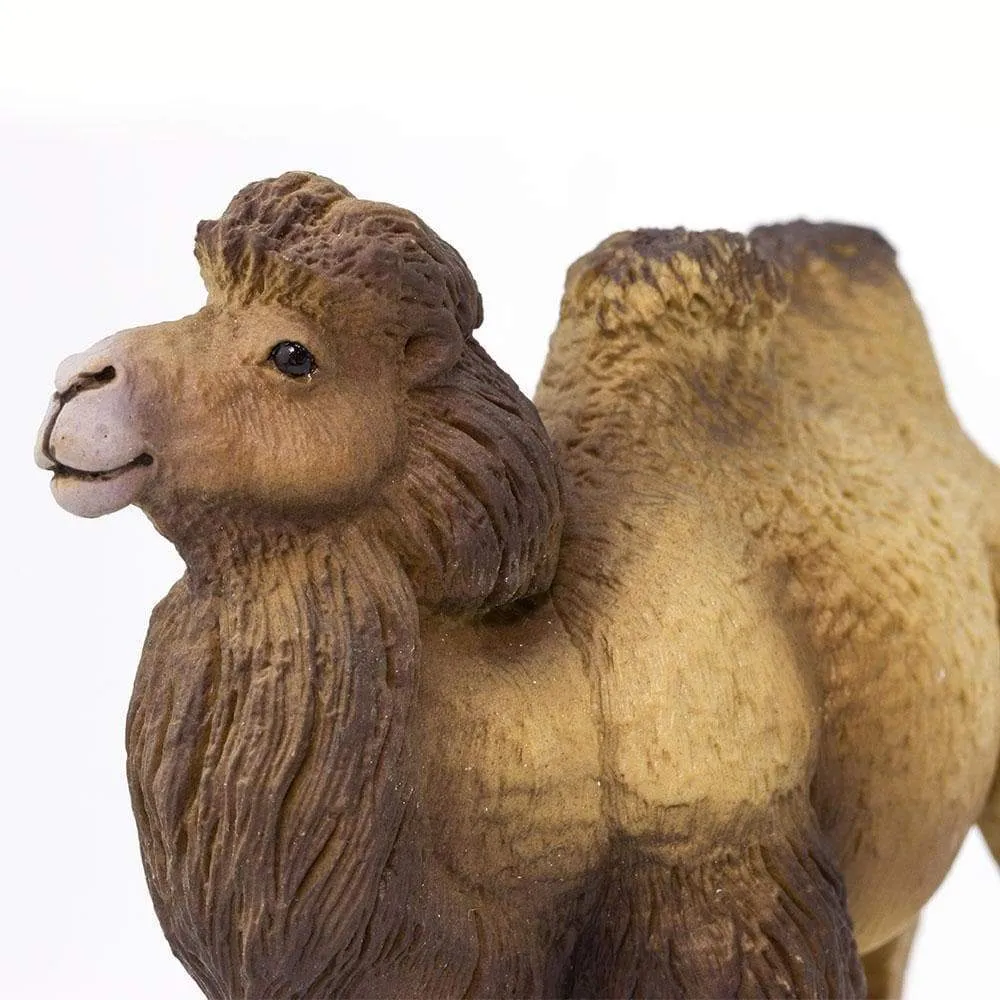 Safari Ltd. Bactrian Camel