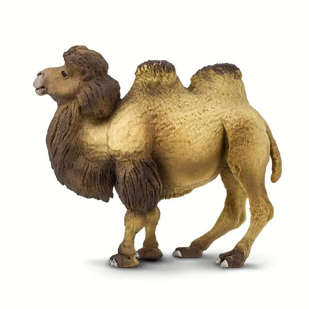 Safari Ltd. Bactrian Camel