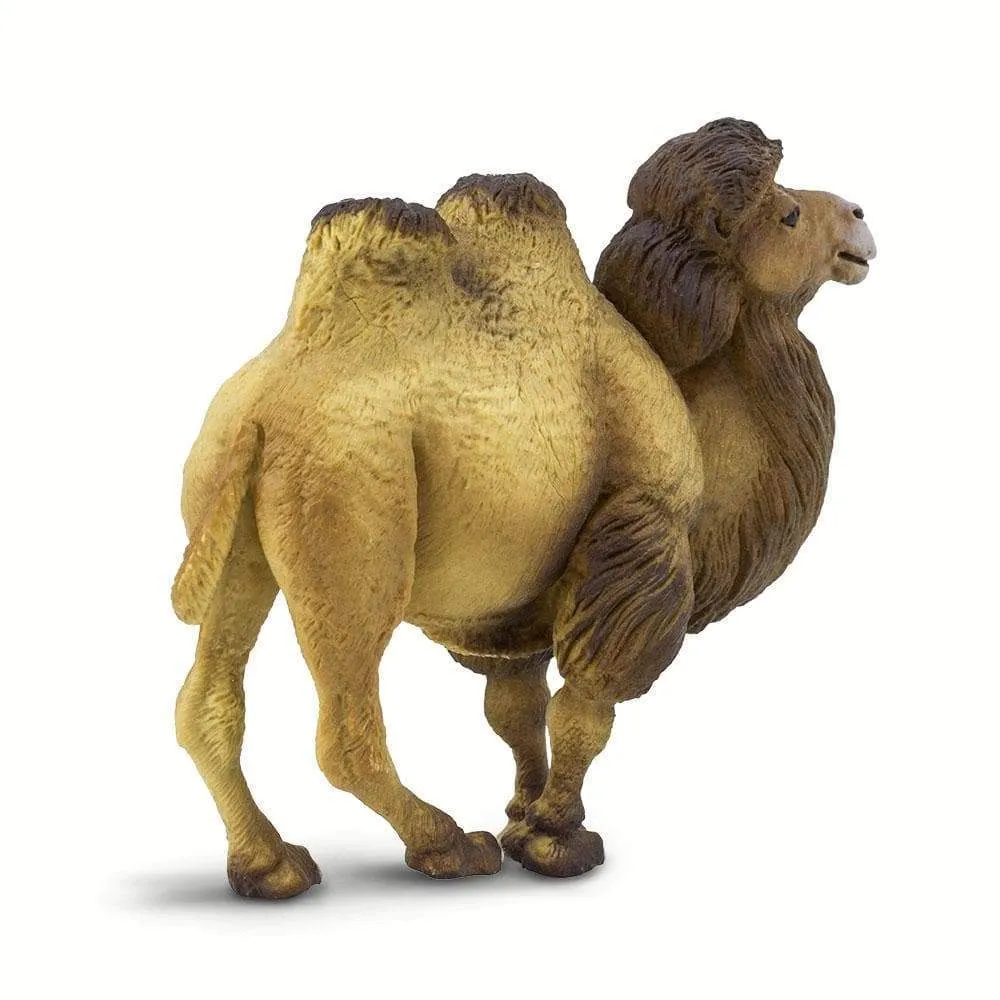 Safari Ltd. Bactrian Camel