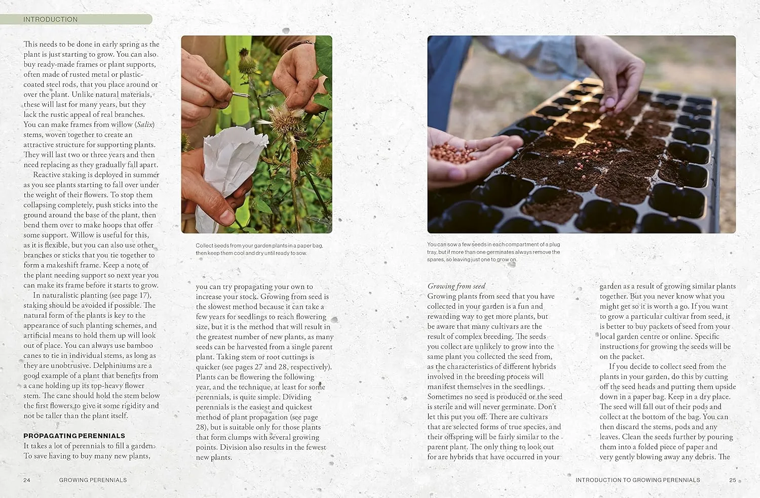 The Kew Gardener's Guide to Growing Perennials Book by Richard Wilford