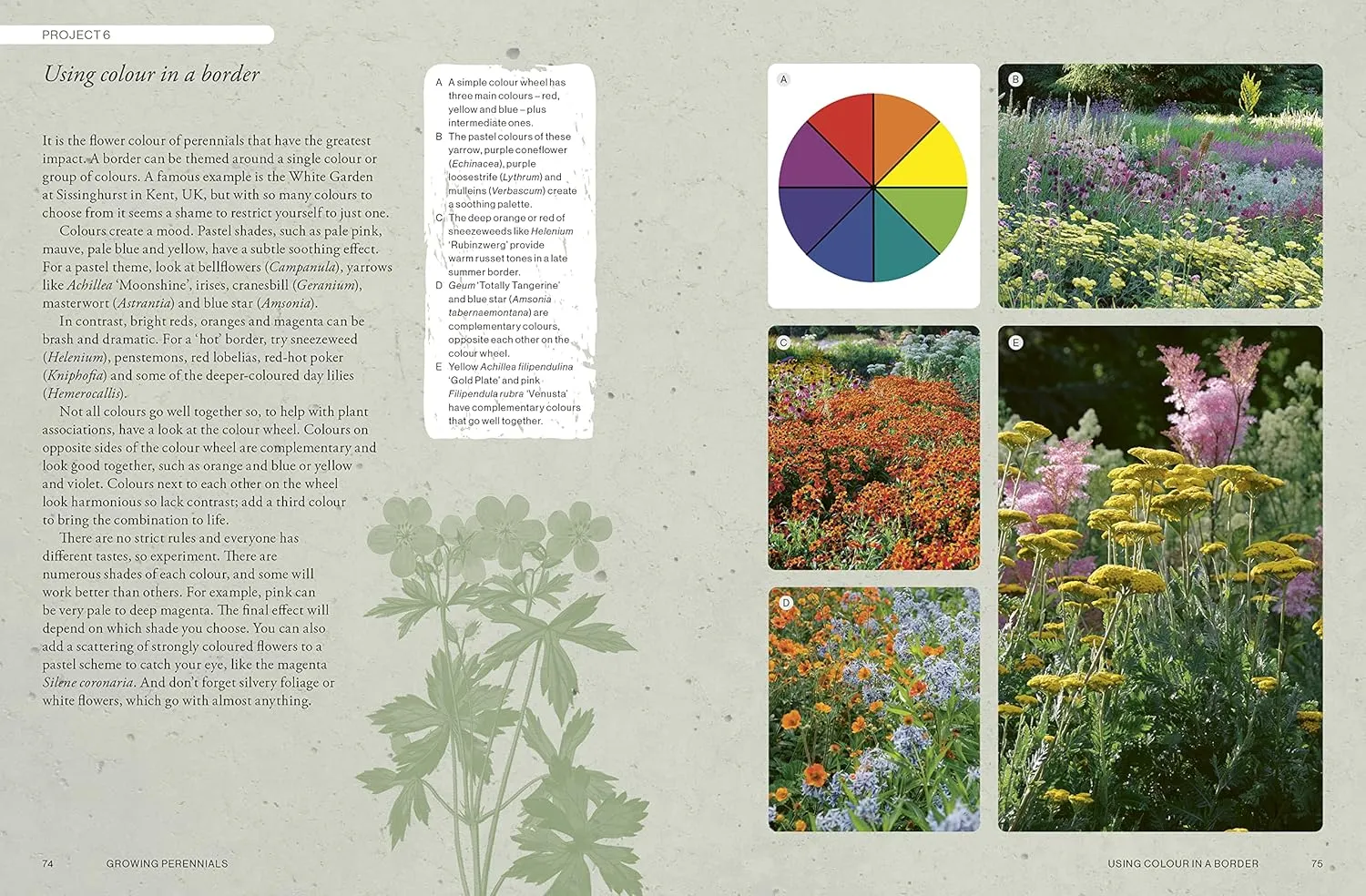 The Kew Gardener's Guide to Growing Perennials Book by Richard Wilford