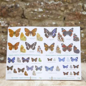 Wildlife World Butterflies Field Guide