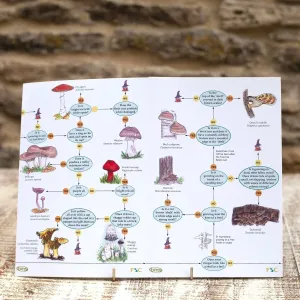 Wildlife World Fungi Field Guide
