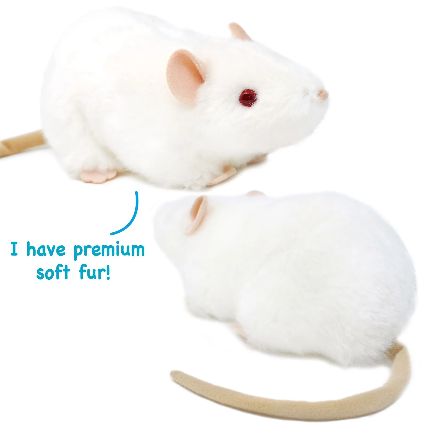 Wylie The White Rat | 7 Inch Stuffed Animal Plush | By TigerHart Toys