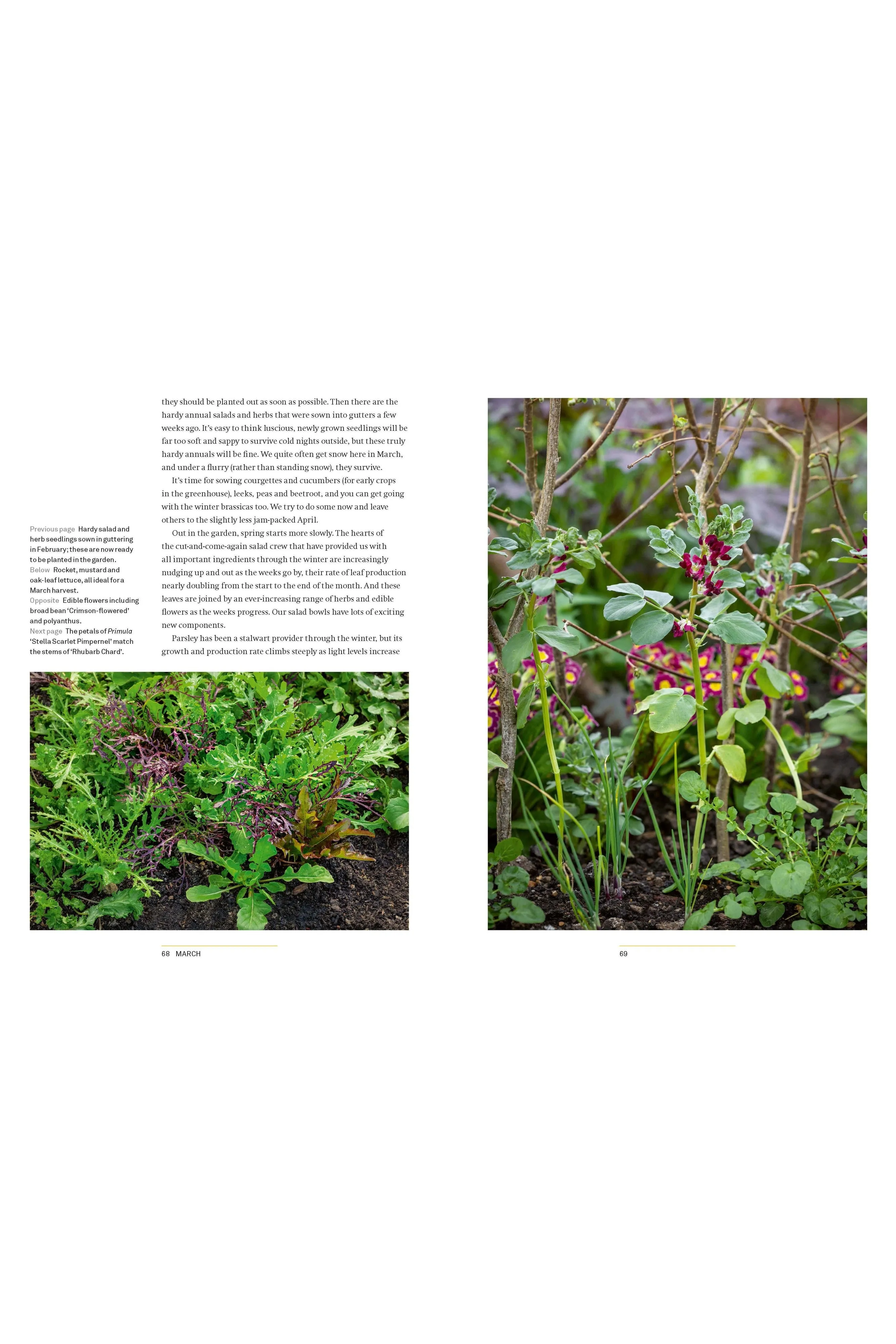 YEAR FULL OF VEG: A HARVEST FOR ALL  SEASONS (HB)